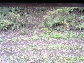 長野県菅平高原 ゆたか山荘 南側 2025/10/16 10:45