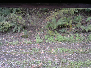 長野県菅平高原 ゆたか山荘 南側 2025/10/16 11:45