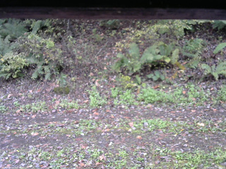 長野県菅平高原 ゆたか山荘 南側 2025/10/16 12:00