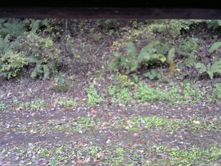 長野県菅平高原 ゆたか山荘 南側 2025/10/16 12:15