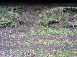 長野県菅平高原 ゆたか山荘 南側 2025/10/16 12:30