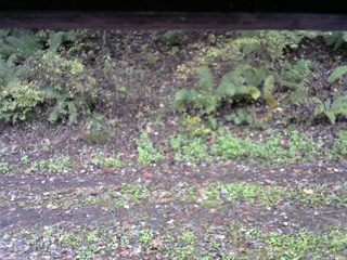 長野県菅平高原 ゆたか山荘 南側 2025/10/16 13:00