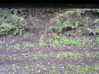 長野県菅平高原 ゆたか山荘 南側 2025/10/16 13:15