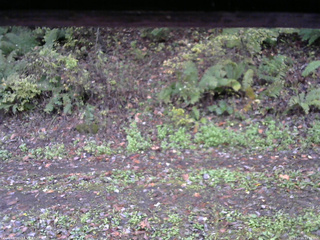 長野県菅平高原 ゆたか山荘 南側 2025/10/16 13:30