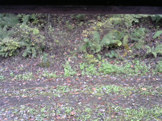 長野県菅平高原 ゆたか山荘 南側 2025/10/16 13:45