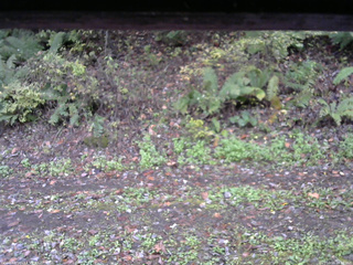 長野県菅平高原 ゆたか山荘 南側 2025/10/16 14:00