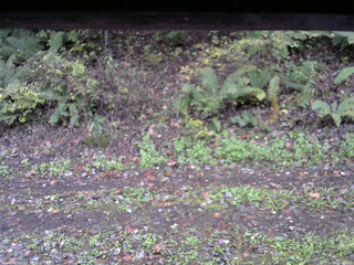 長野県菅平高原 ゆたか山荘 南側 2025/10/16 14:15