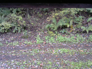 長野県菅平高原 ゆたか山荘 南側 2025/10/16 15:00