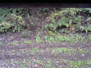 長野県菅平高原 ゆたか山荘 南側 2025/10/16 16:00