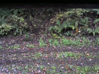 長野県菅平高原 ゆたか山荘 南側 2025/10/16 16:30