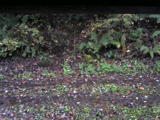 長野県菅平高原 ゆたか山荘 南側 2025/10/16 16:45