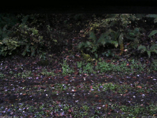 長野県菅平高原 ゆたか山荘 南側 2025/10/16 17:00