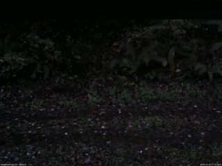 長野県菅平高原 ゆたか山荘 南側 2025/10/16 17:15