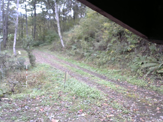 長野県菅平高原 ゆたか山荘 東側(坂下) 2025/10/16 09:15