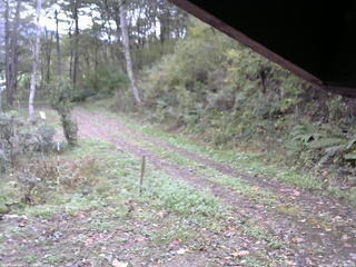 長野県菅平高原 ゆたか山荘 東側(坂下) 2025/10/16 11:15