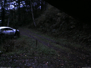 長野県菅平高原 ゆたか山荘 東側(坂下) 2025/10/16 17:15