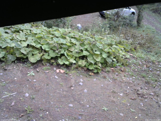 長野県菅平高原 ゆたか山荘 駐車場 2025/10/16 08:00