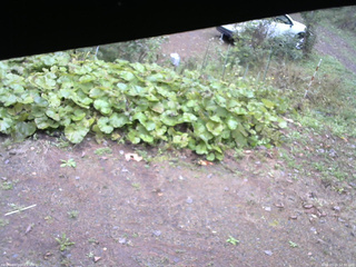 長野県菅平高原 ゆたか山荘 駐車場 2025/10/16 12:30