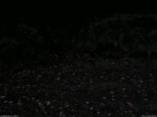 長野県菅平高原 ゆたか山荘 南側 2025/10/17 05:45