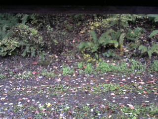 長野県菅平高原 ゆたか山荘 南側 2025/10/17 06:00