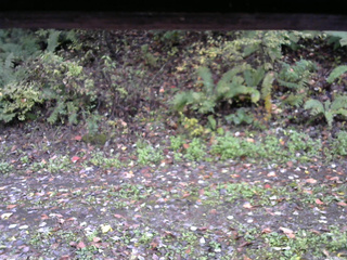 長野県菅平高原 ゆたか山荘 南側 2025/10/17 07:45