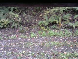 長野県菅平高原 ゆたか山荘 南側 2025/10/17 08:00