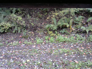 長野県菅平高原 ゆたか山荘 南側 2025/10/17 08:15