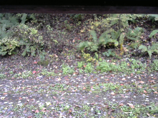 長野県菅平高原 ゆたか山荘 南側 2025/10/17 08:30