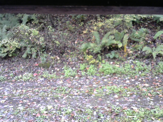 長野県菅平高原 ゆたか山荘 南側 2025/10/17 08:45