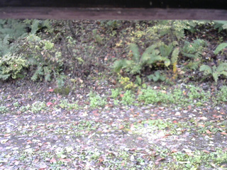 長野県菅平高原 ゆたか山荘 南側 2025/10/17 09:00