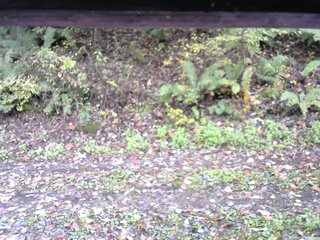 長野県菅平高原 ゆたか山荘 南側 2025/10/17 09:15