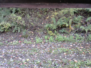 長野県菅平高原 ゆたか山荘 南側 2025/10/17 09:30