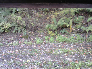 長野県菅平高原 ゆたか山荘 南側 2025/10/17 09:45