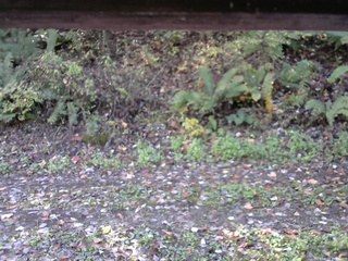 長野県菅平高原 ゆたか山荘 南側 2025/10/17 10:00