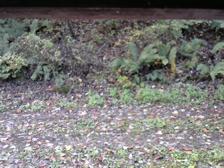 長野県菅平高原 ゆたか山荘 南側 2025/10/17 10:15