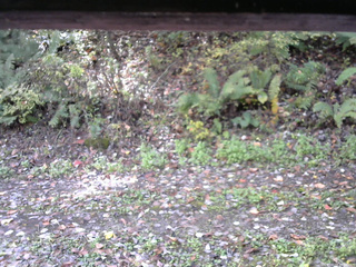 長野県菅平高原 ゆたか山荘 南側 2025/10/17 10:30