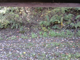 長野県菅平高原 ゆたか山荘 南側 2025/10/17 10:45