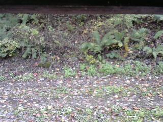 長野県菅平高原 ゆたか山荘 南側 2025/10/17 11:15