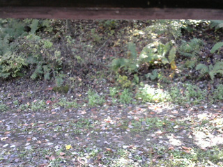 長野県菅平高原 ゆたか山荘 南側 2025/10/17 11:30