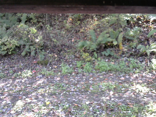 長野県菅平高原 ゆたか山荘 南側 2025/10/17 11:45