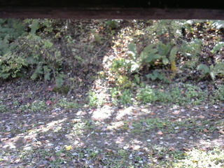 長野県菅平高原 ゆたか山荘 南側 2025/10/17 12:00