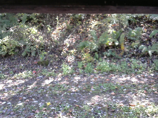 長野県菅平高原 ゆたか山荘 南側 2025/10/17 12:15