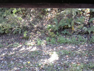 長野県菅平高原 ゆたか山荘 南側 2025/10/17 12:30