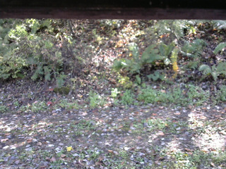 長野県菅平高原 ゆたか山荘 南側 2025/10/17 12:45