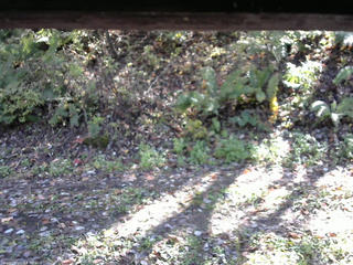 長野県菅平高原 ゆたか山荘 南側 2025/10/17 13:00