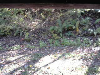 長野県菅平高原 ゆたか山荘 南側 2025/10/17 13:15