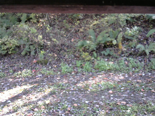 長野県菅平高原 ゆたか山荘 南側 2025/10/17 13:30