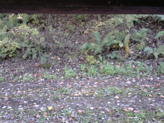 長野県菅平高原 ゆたか山荘 南側 2025/10/17 13:45