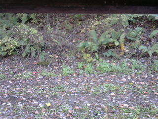 長野県菅平高原 ゆたか山荘 南側 2025/10/17 14:00
