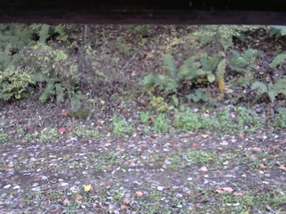 長野県菅平高原 ゆたか山荘 南側 2025/10/17 14:15
